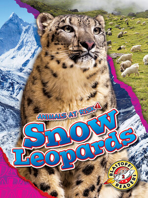 cover image of Snow Leopards